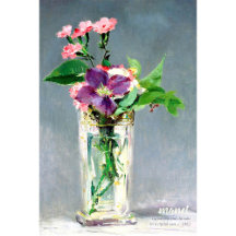 Manet Carnatis clematis CC1240 Flores bonitas