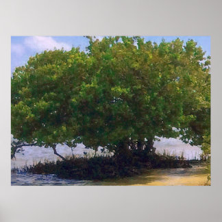 Póster Mangrove no Golfo