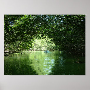 Poster Manguezais que Kayaking