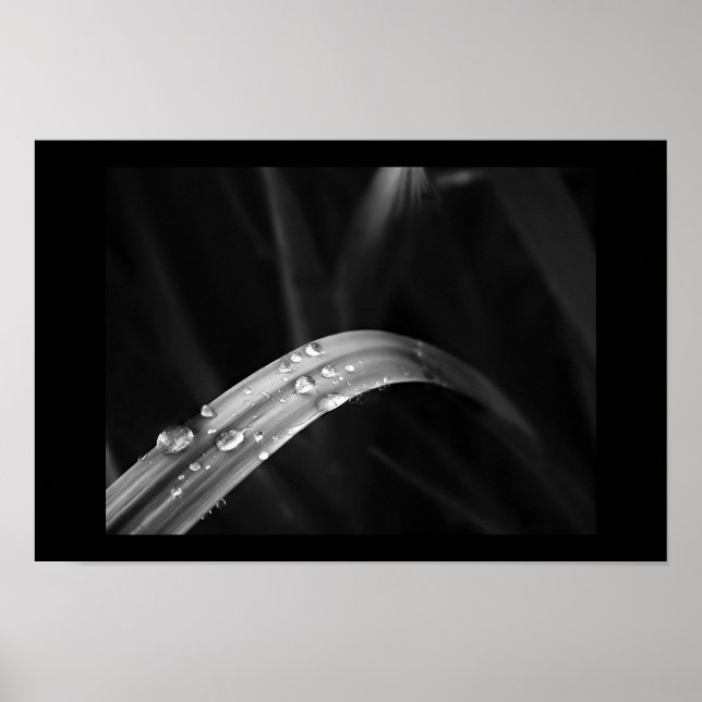 Poster Manhã (Frente)