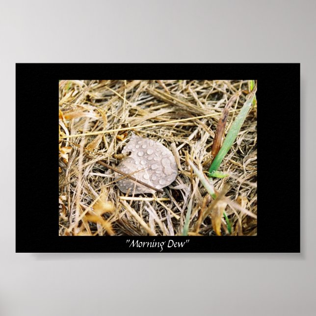 Póster Manhã (Frente)