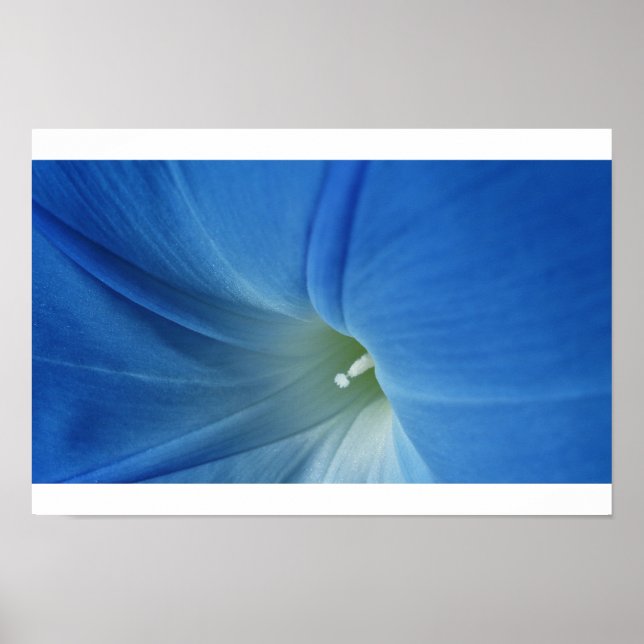 Póster Manhã Bloom (Frente)