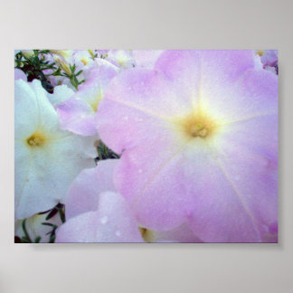 Póster Manhã de Beijos