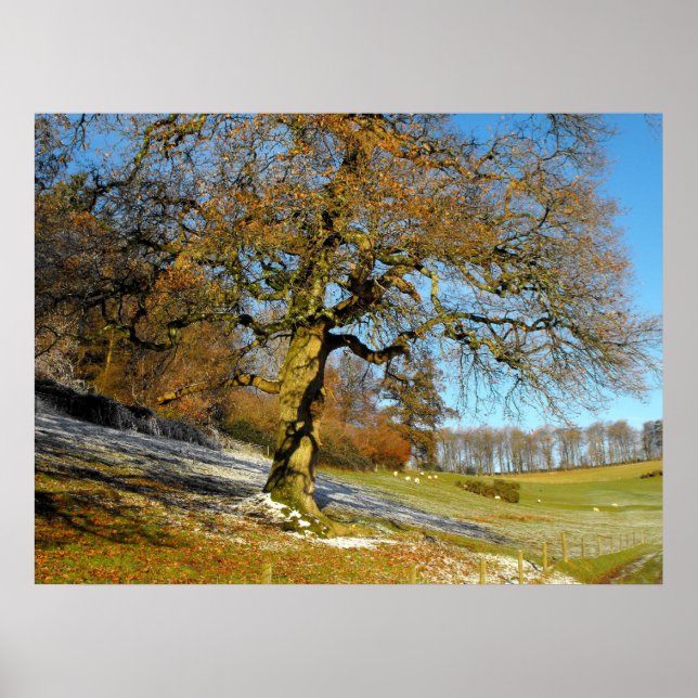 Póster Manhã de inverno (Frente)