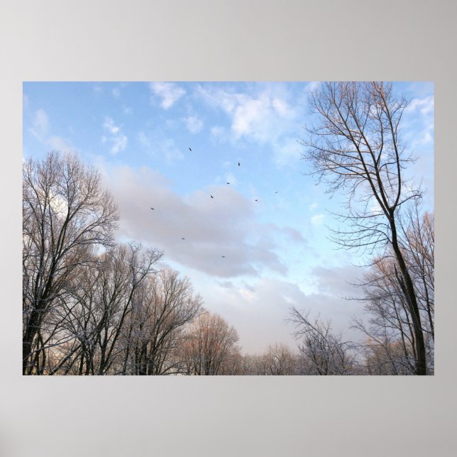 Poster Manhã de inverno I (Frente)