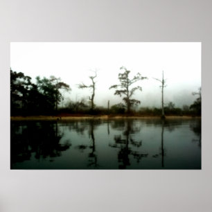 Póster Manhã do pântano de Louisiana