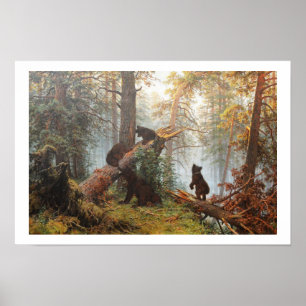 Póster Manhã em uma floresta de pinheiros