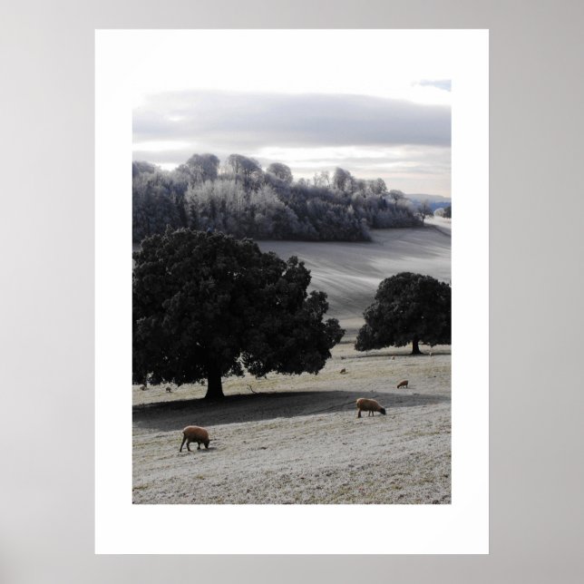 Póster Manhã gelada (Frente)