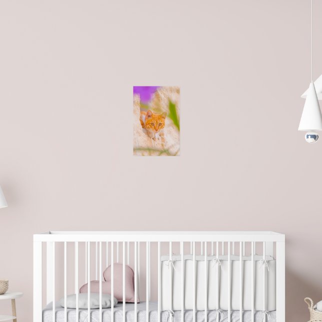 Poster Manhã Maltesa Curiosa (Berçário 2)