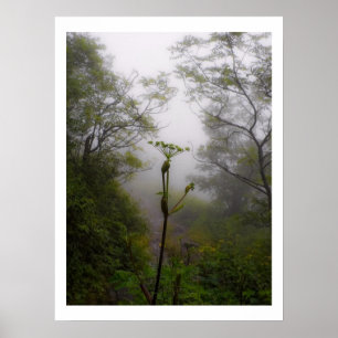 Póster Manhã Mystical na fuga apalaches