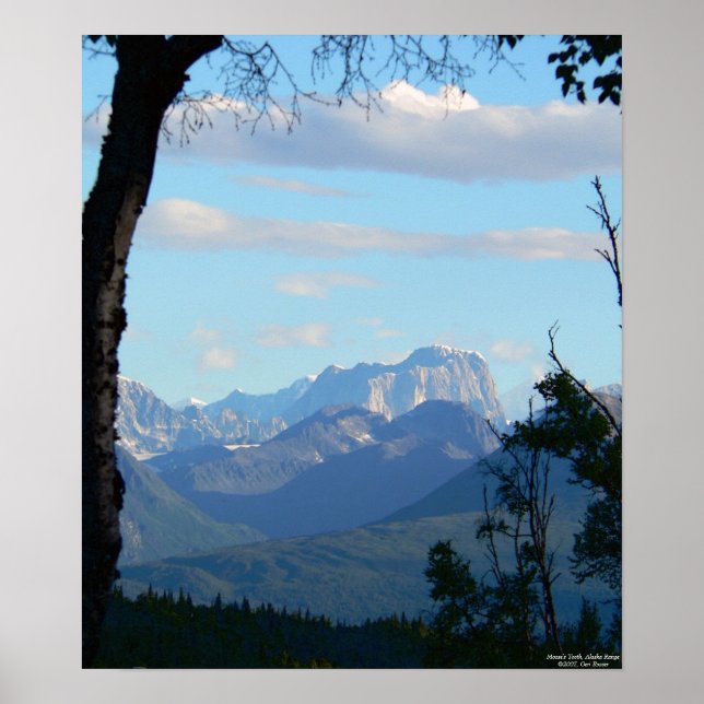 Póster Manhã no dente de Moose (Frente)