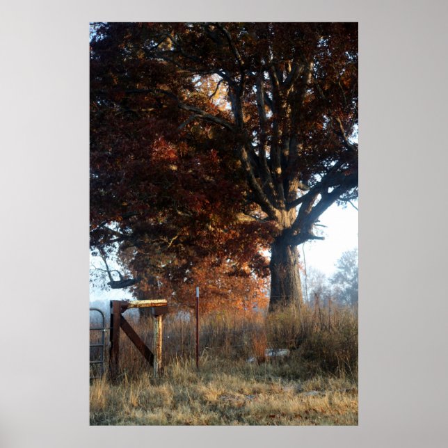 Poster Manhã no Tennessee (Frente)