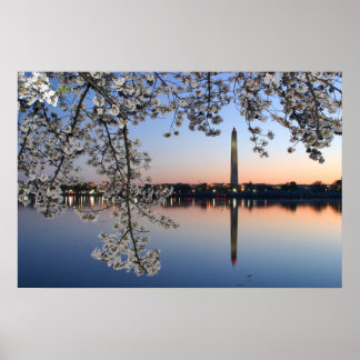 Póster Manhã Primavera do Monumento de Washington