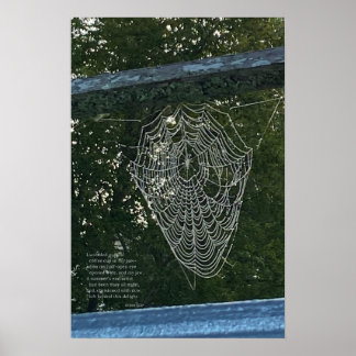 Poster Manhã Surpresa, Uma Aranha Coberta Por Refúgio