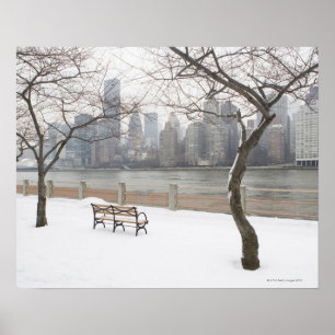 Póster Manhattan no inverno