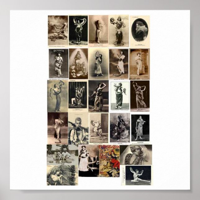 Póster Manipuladores poster-Vintage-Cobra (Frente)