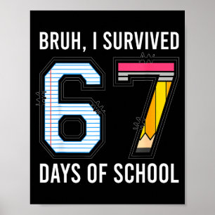 Poster Mano eu sobrevivi 67 dias de aula seis sete crianç