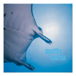 Póster Manta ray