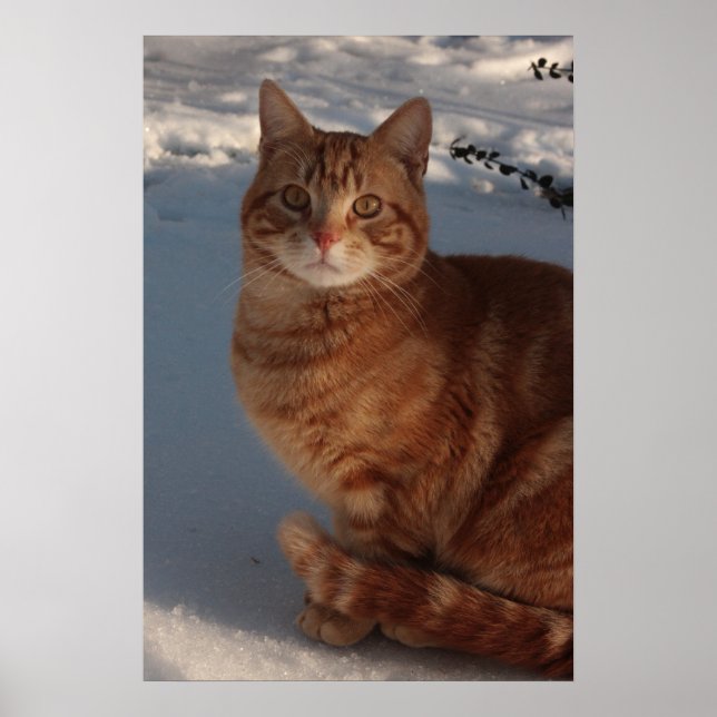 Poster Mantendo Aquecimento (Frente)