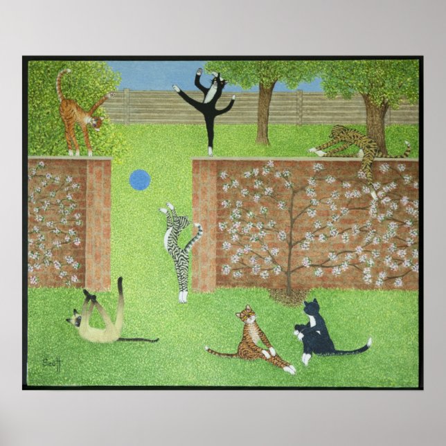 Poster Mantendo os dedos dos pés (Frente)