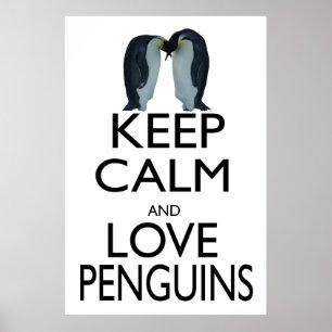 Póster Mantenha a calma e os pinguins de amor