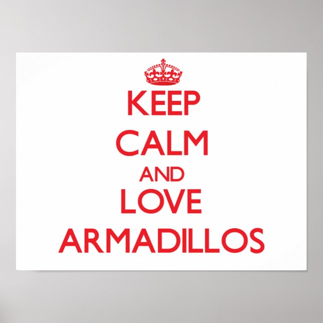 Póster Mantenha calma e ame Armadillos (Frente)
