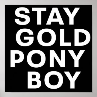 POSTER MANTENHA DOURADO PONY BOY