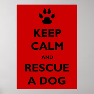 Poster Mantenha o salvamento calmo do cão