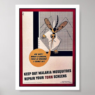 Póster Mantenha para fora mosquitos de malária reparam