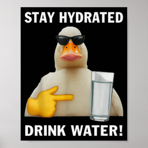 Poster Mantenha-se Hidrata Beber Água Funny Meme Pato