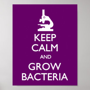 Poster Manter Bactérias em Crescimento Calmo