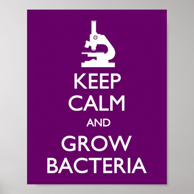 Poster Manter Bactérias em Crescimento Calmo (Frente)
