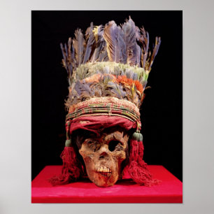 Póster Mantilha emplumada em um crânio, de Peru