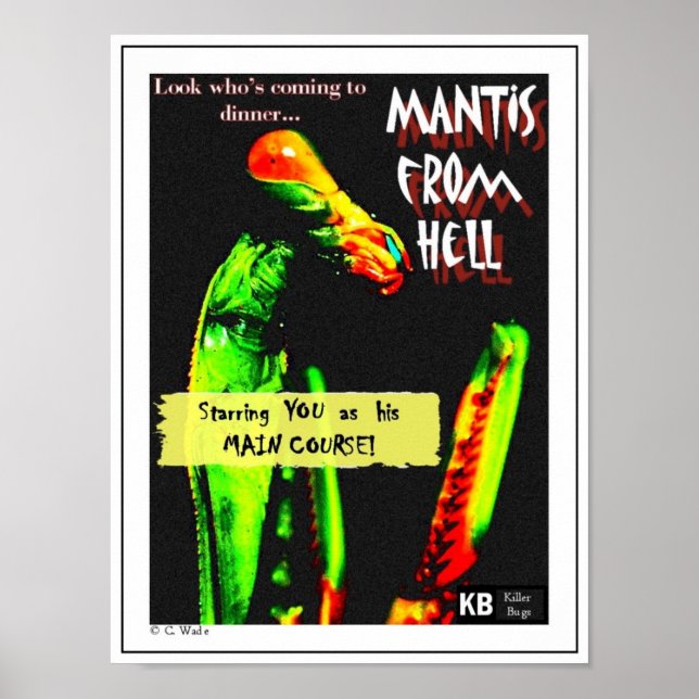 Póster Mantis Do Inferno (Frente)