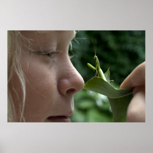 Poster Mantis religiosa