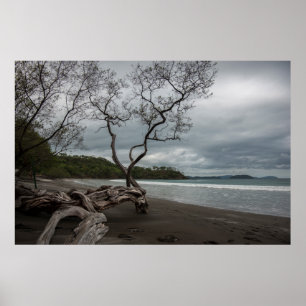 Póster Manzanillo