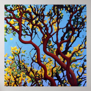 Póster Manzanita no outono