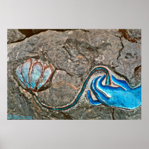 Poster Mão com Lotus/Poster