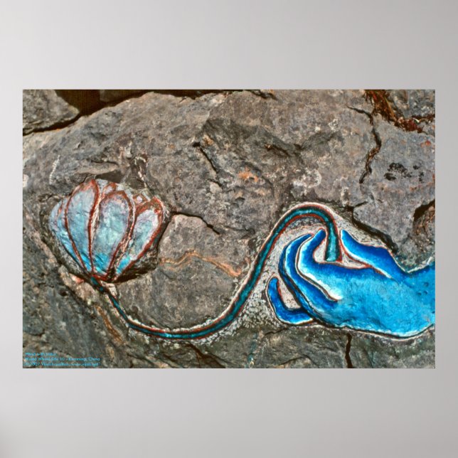 Poster Mão com Lotus/Poster (Frente)