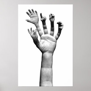 Poster Mãos amiga