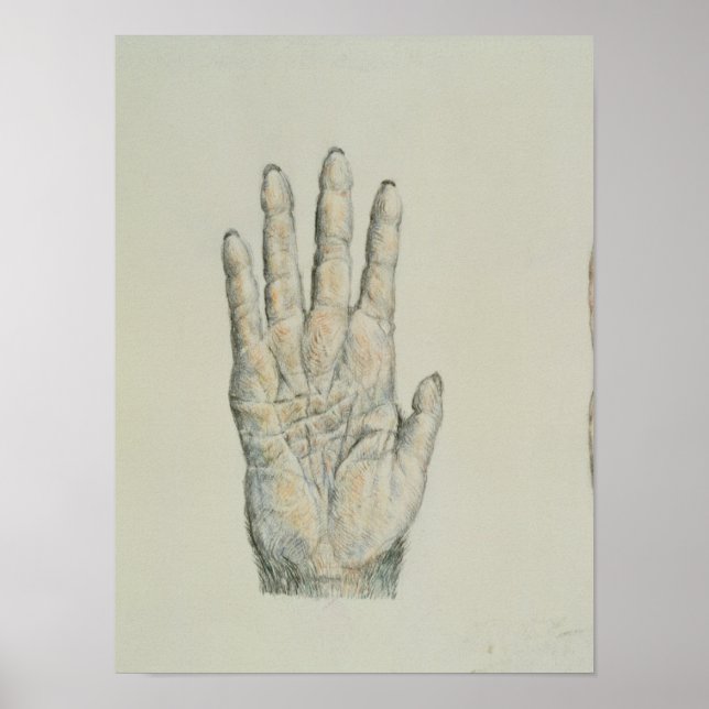Poster Mãos de um primata e de um humano (Frente)