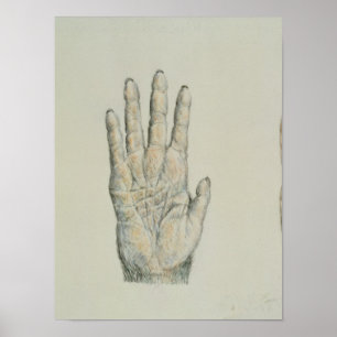 Poster Mãos de um primata e de um ser humano