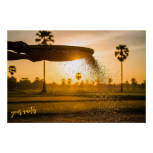 Póster Mãos Peneirando Grãos Paisagem Rural 