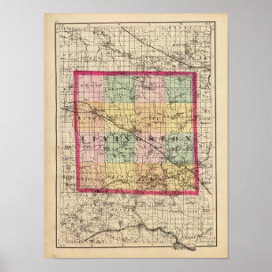 Póster Map of Livingston County, Michigan