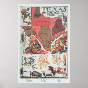 Poster Mapa Agrícola do Texas Vintage (1922)