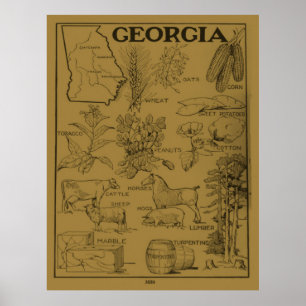Poster Mapa agrícola do vintage de Geórgia (1915) - Tan