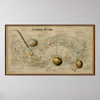 Poster Mapa antigo do urano
