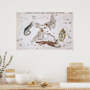 Poster Mapa Astronômico Celestial Vintage