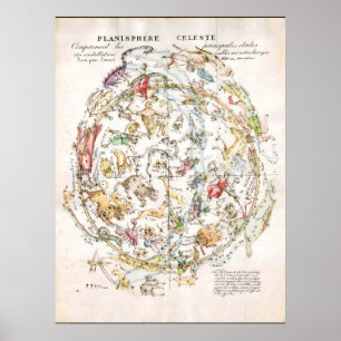 Poster Mapa Celestial da Vintage