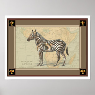 Póster Mapa da África e uma Zebra